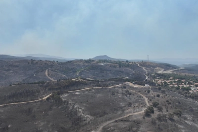 Son &Uuml;&ccedil; G&uuml;nde &Ccedil;ıkan Yangınlar Yaklaşık 10 Bin Hektarlık Alanı K&uuml;le &Ccedil;evirdi