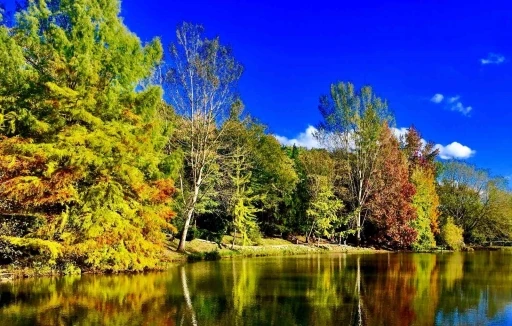 Sonbaharın b&uuml;y&uuml;leyici renkleri Erzincan&rsquo;ı sardı
