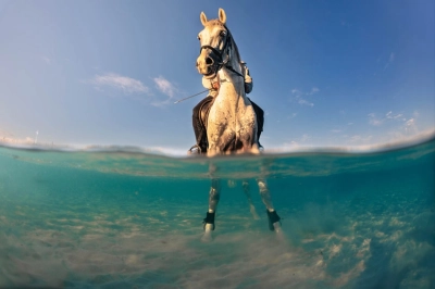 Sony D&uuml;nya Fotoğraf&ccedil;ılık yarışması kısa listeleri a&ccedil;ıklandı