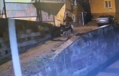 Soyguncunun b&ouml;ylesi g&ouml;r&uuml;lmedi! Forkliftle gelmiş, eşekle ka&ccedil;mış