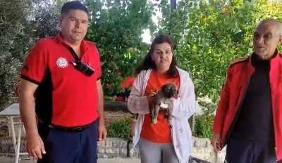 Su kenarında mahsur kalan k&ouml;peği itfaiye kurtardı
