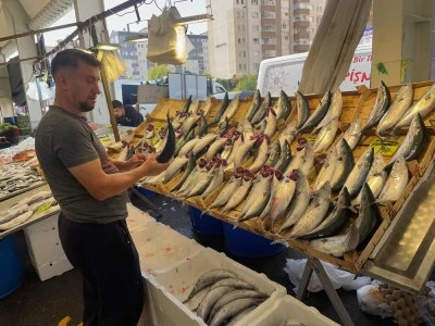 Su &Uuml;r&uuml;nleri Derneği: En g&uuml;venilir protein kaynağı sularda