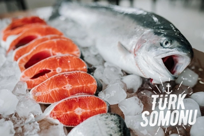 Su &Uuml;r&uuml;nleri Sekt&ouml;r&uuml; Future Fish Eurasia&rsquo;da Buluşuyor