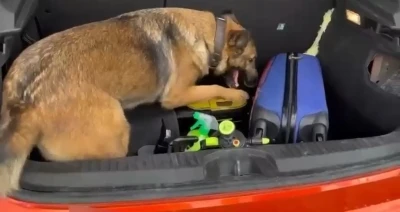 S&uuml;p&uuml;rgeye zulalanmış uyuşturucu ele ge&ccedil;irildi