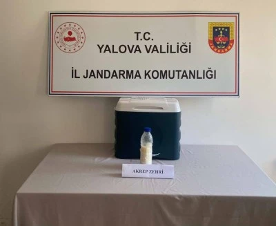 Suriye'den getirildi jandarma tarafından yakalandı: 500 gramı 5 milyon dolar
