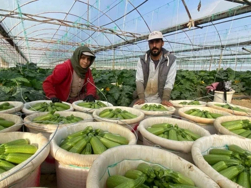Suriye&rsquo;den ka&ccedil;ıp T&uuml;rkiye&rsquo;de evlenen &ccedil;ift: &ldquo;Esad&rsquo;ın yaptığını bize gavur yapmadı&rdquo;
