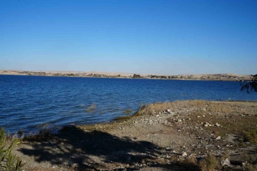 Suriye Milli Ordusu, S&uuml;leyman Şah T&uuml;rbesine girmeye hazırlanıyor
