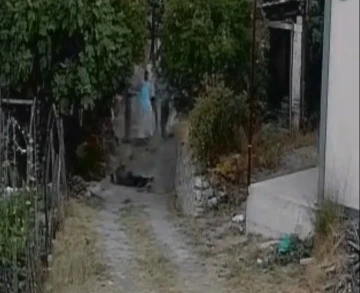 S&uuml;r&uuml; sahibini ıskalayınca araya giren &ccedil;obanı &ouml;ld&uuml;rd&uuml;
