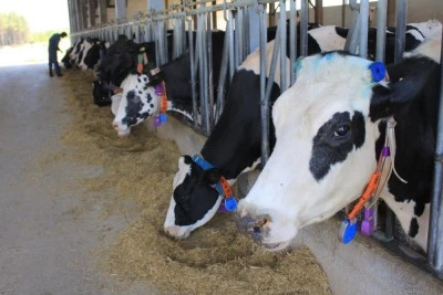  S&uuml;t &uuml;retiminde fazlalık var