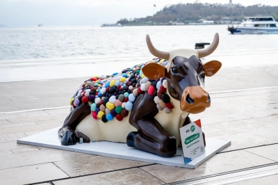 S&uuml;taş'ın Mutlu İnekleri, Sanat&ccedil;ıların Tasarımları İle Şehre Geldi