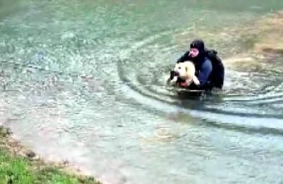 Suyla &ccedil;evrili alanda mahsur kalan k&ouml;peği itfaiye eri kurtardı