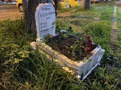Taksicilerden vefa; &ouml;len muhabbet kuşları i&ccedil;in mini mezar yaptılar
