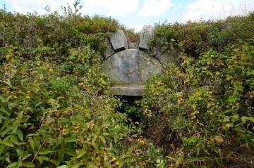 Tarih &ccedil;alılıkların arasında kayboldu
