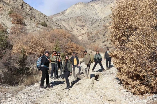 Tarihe doğa y&uuml;r&uuml;y&uuml;ş&uuml;
