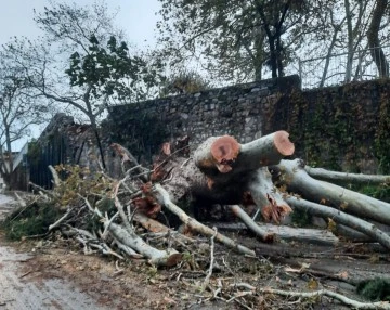 Bursa'da etkili olan fırtına &Ccedil;ekirge'de bulunan tarihi &ccedil;ınarı devirdi 