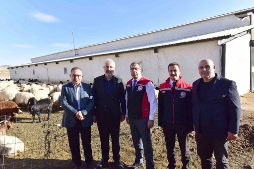 Tarım ve Orman Bakan Yardımcısı G&uuml;men, Ahlat&rsquo;ta tarım ve hayvancılık tesislerini gezdi
