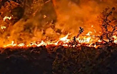 Eskişehir'de orman yangınında 10 şehit