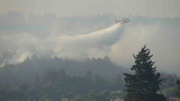 Tarım ve Orman Bakanı İbrahim Yumaklı: "Yangından etkilenen alanın yaklaşık 575 hektar olduğunu tahmin ediyoruz"
