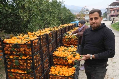 Tarla fiyatı 2 TL&rsquo;ye kadar gerileyen mandalina &uuml;reticilerinden market fiyatlarına tepki