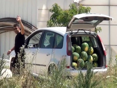 Tarladaki karpuzları vatandaşa &uuml;cretsiz dağıttı