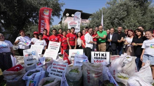Tarsus&rsquo;ta l&ouml;semili &ccedil;ocuklar i&ccedil;in zeytin hasadı yapıldı
