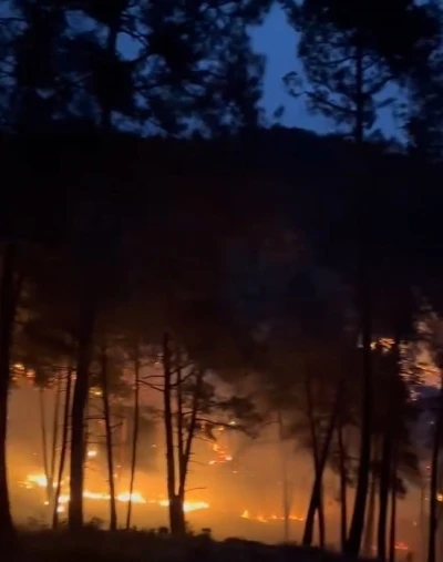 Tarsus&rsquo;ta orman yangını
