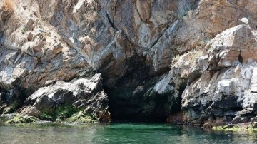 Tavşan Adası'ndaki biyo&ccedil;eşitlilik kameralarla takip ediliyor