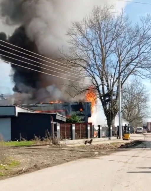 Tavuk &ccedil;iftliği alevlere teslim oldu
