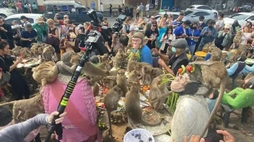 Maymunlara a&ccedil;ık b&uuml;fe ziyafeti verildi 