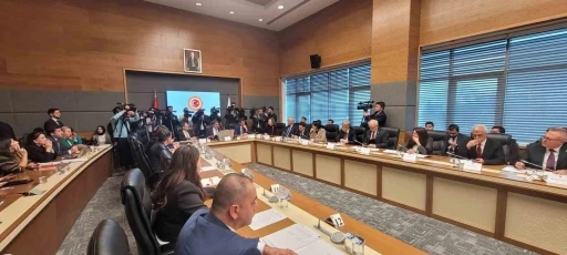 TBMM &Ouml;zel Sağlık Kuruluşlarında Bebek &Ouml;l&uuml;mlerini Araştırma Komisyonu 2. kez toplandı
