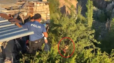 Tedaviyi reddedip ka&ccedil;tı, dere yatağına d&uuml;şerek ağa&ccedil;ta asılı kaldı