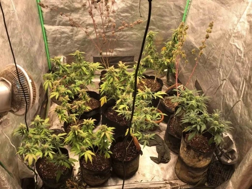 &ldquo;Tehdit ve hakaret&rdquo; su&ccedil;undan aranan firari uyuşturucu operasyonunda yakalandı
