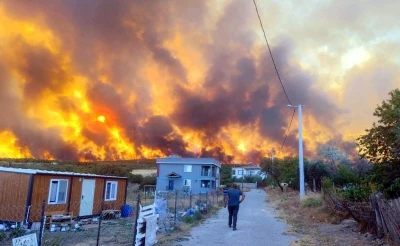 Tekirdağ'da orman yangını 