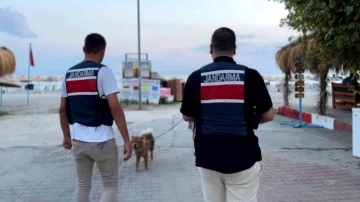 Tekirdağ&rsquo;da Zıpkın-22 operasyonu
