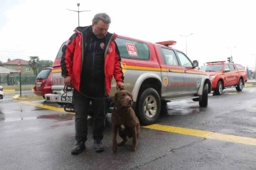 Teknolojinin t&uuml;kendiği yerde devreye giren altın burunlar
