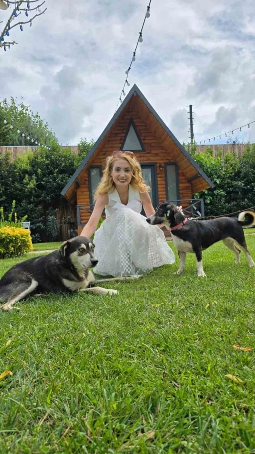 Terapi eğitimi verilen sokak k&ouml;pekleri, hastalara &uuml;mit oluyor
