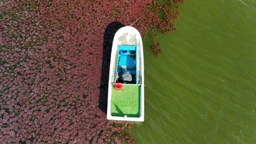 Terkos g&ouml;l&uuml;nde masalsı sonbahar manzarası
