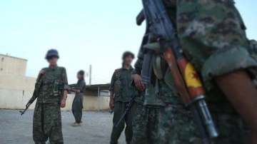 Ter&ouml;r &ouml;rg&uuml;t&uuml; PKK/YPG saflarına katmak i&ccedil;in Haseke'den 2 kız &ccedil;ocuğunu daha ka&ccedil;ırdı