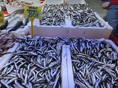 Tezgahlarda hamsi bereketi