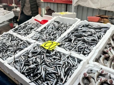 Tezgahta 100 liraya d&uuml;şen hamsi yoğun ilgi g&ouml;rd&uuml;