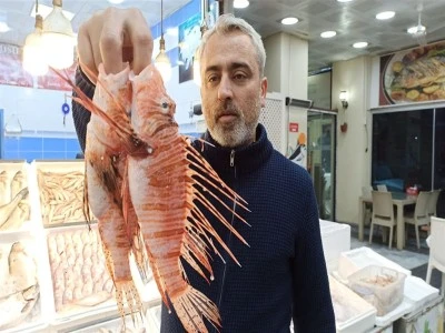 Tezgahta satışı yasak olan aslan balığının &ouml;zel m&uuml;şterisi var