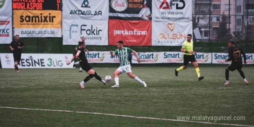 TFF 3. Lig: &Ccedil;ayelispor: 0 - Muğlaspor: 3