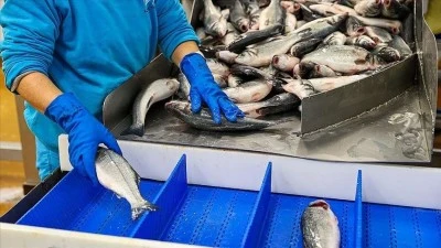 Ticaret Bakanlığı&rsquo;ndan su &uuml;r&uuml;nleri raporu: T&uuml;rkiye k&uuml;resel pazarda devleşiyor, 133 &uuml;lkeye 2,2 milyar dolarlık ihracat!