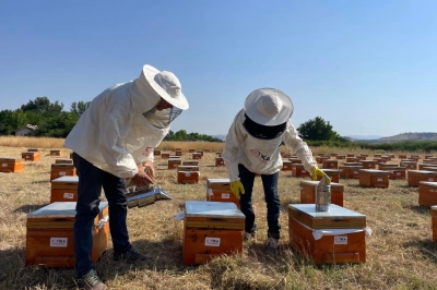 TİKA&rsquo;dan Makedonya&rsquo;daki soydaşlara arıcılık ekipmanı desteği
