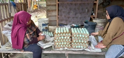 TİKA, Endonezya&rsquo;da kırsal kalkınmayı destekliyor