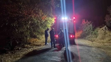 Tire&rsquo;de birileri zeytinlikleri yine yakmaya başladı!