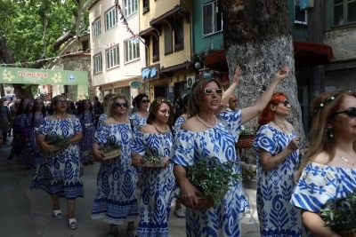 Tirilye Zeytin &Ccedil;i&ccedil;eği Festivali başladı 