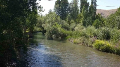 Tohma &Ccedil;ayı&rsquo;nın ekolojik sağlığı bilimsel olarak ortaya kondu