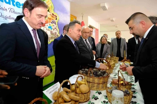 Tokat&rsquo;ta milli patates &ccedil;eşitleriyle yerel tarım g&uuml;&ccedil;leniyor
