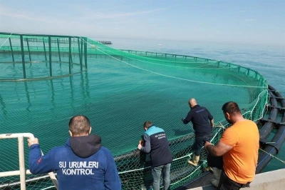 Trabzon&rsquo;da denizdeki balık kafeslerine denetim
